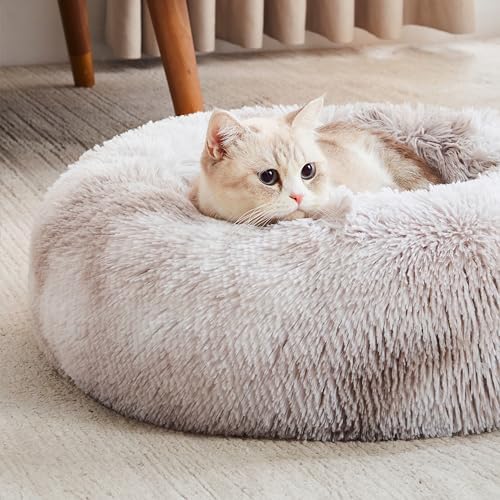 Perfect Bed: Orthopedic or Anti-Anxiety Donut – Maximum Comfort and Well-Being for Your Dog!