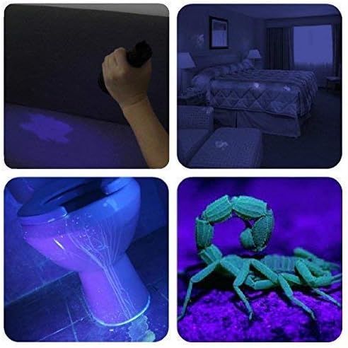 Vansky UV Flashlight: Your Ally for a Spotless Home and Odor-Free Living