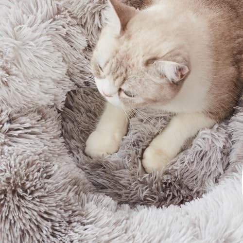 Perfect Bed: Orthopedic or Anti-Anxiety Donut – Maximum Comfort and Well-Being for Your Dog!