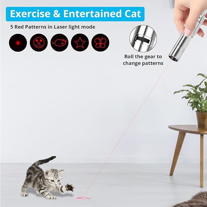 7-in-1 Laser Pen: Training, Exercise, and Bonding in Every Play