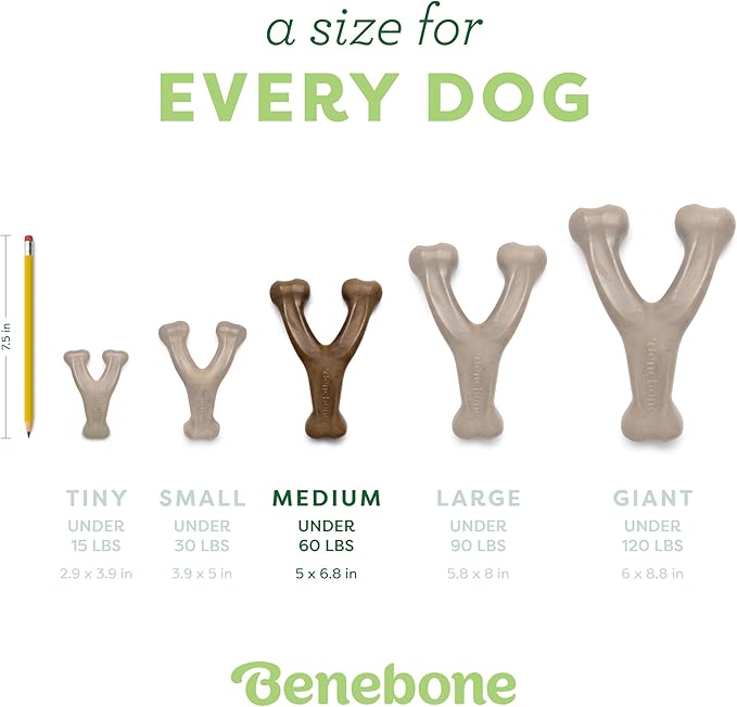 Benebone Wishbone: Indestructible Bone with Real Bacon Flavor