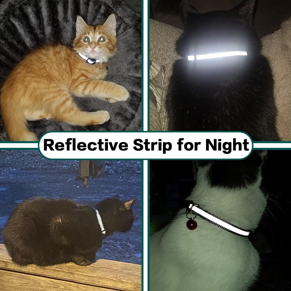 Reflective Collar with AirTag Holder: Keep Track of Your Cat Anytime