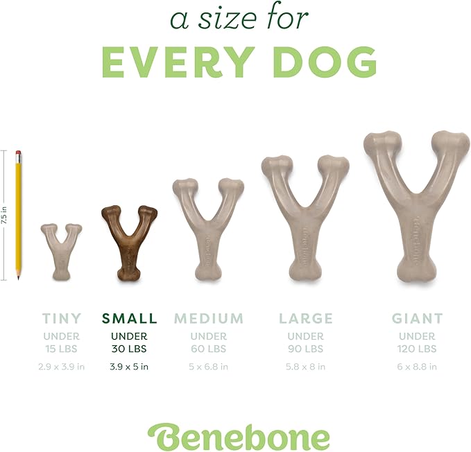 Benebone Wishbone: Indestructible Bone with Real Bacon Flavor