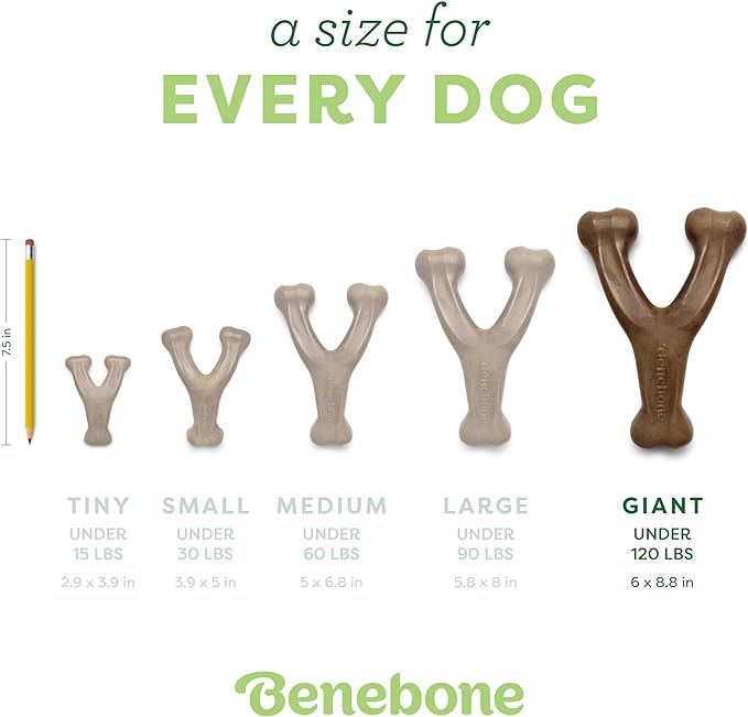 Benebone Wishbone: Indestructible Bone with Real Bacon Flavor