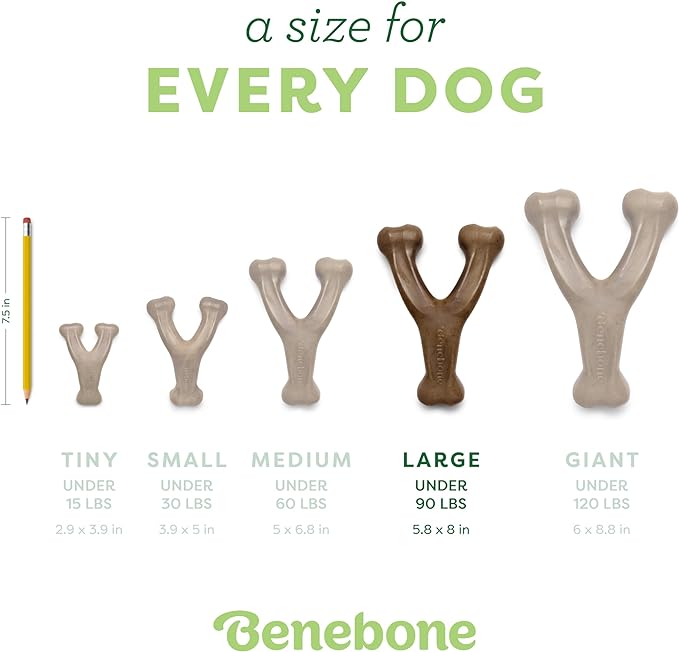 Benebone Wishbone: Indestructible Bone with Real Bacon Flavor