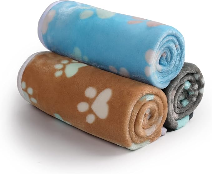 3-Pack Coral Velvet Blankets: Comfort, Protection, and Adorable Design