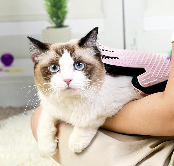 Pet Grooming Gloves: Relaxing Massage, Deep Cleaning, and Guaranteed Bonding