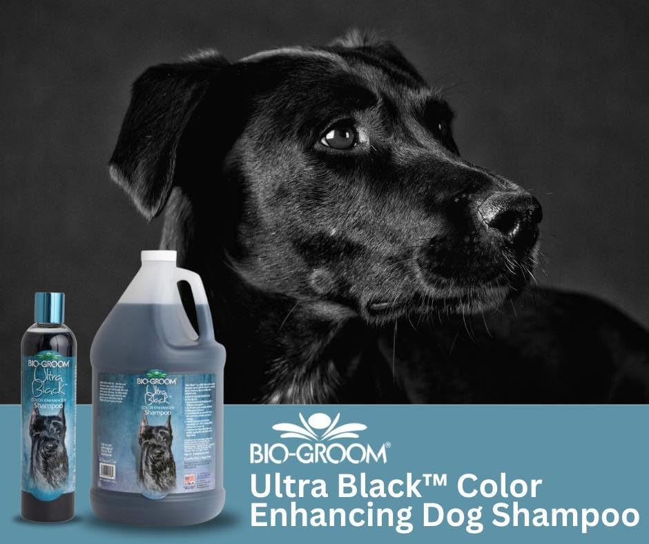 Bio-Groom Natural Shampoo: Intense Shine and Nutrition for Your Dog