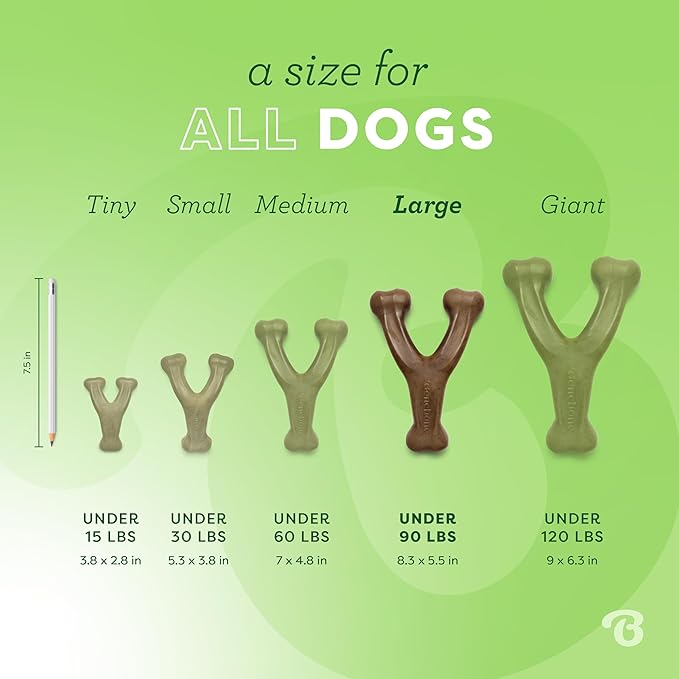 Benebone Wishbone: Indestructible Bone with Real Bacon Flavor