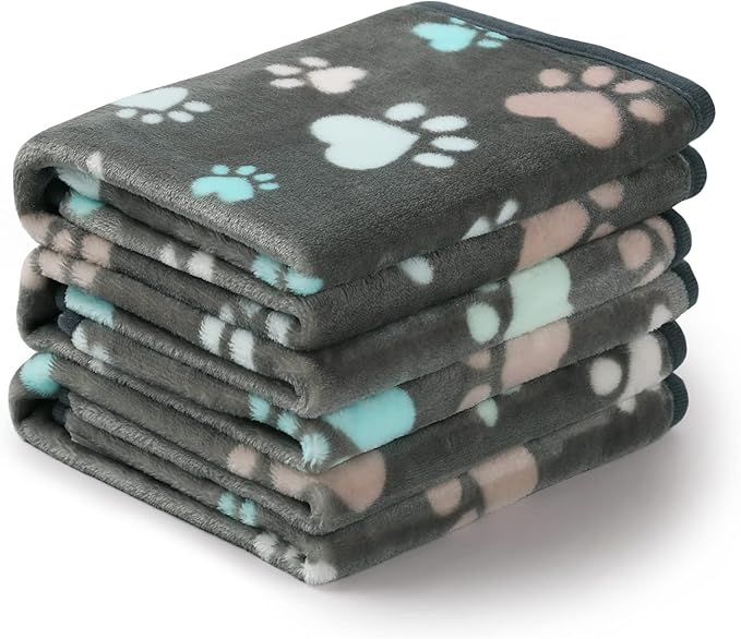 3-Pack Coral Velvet Blankets: Comfort, Protection, and Adorable Design