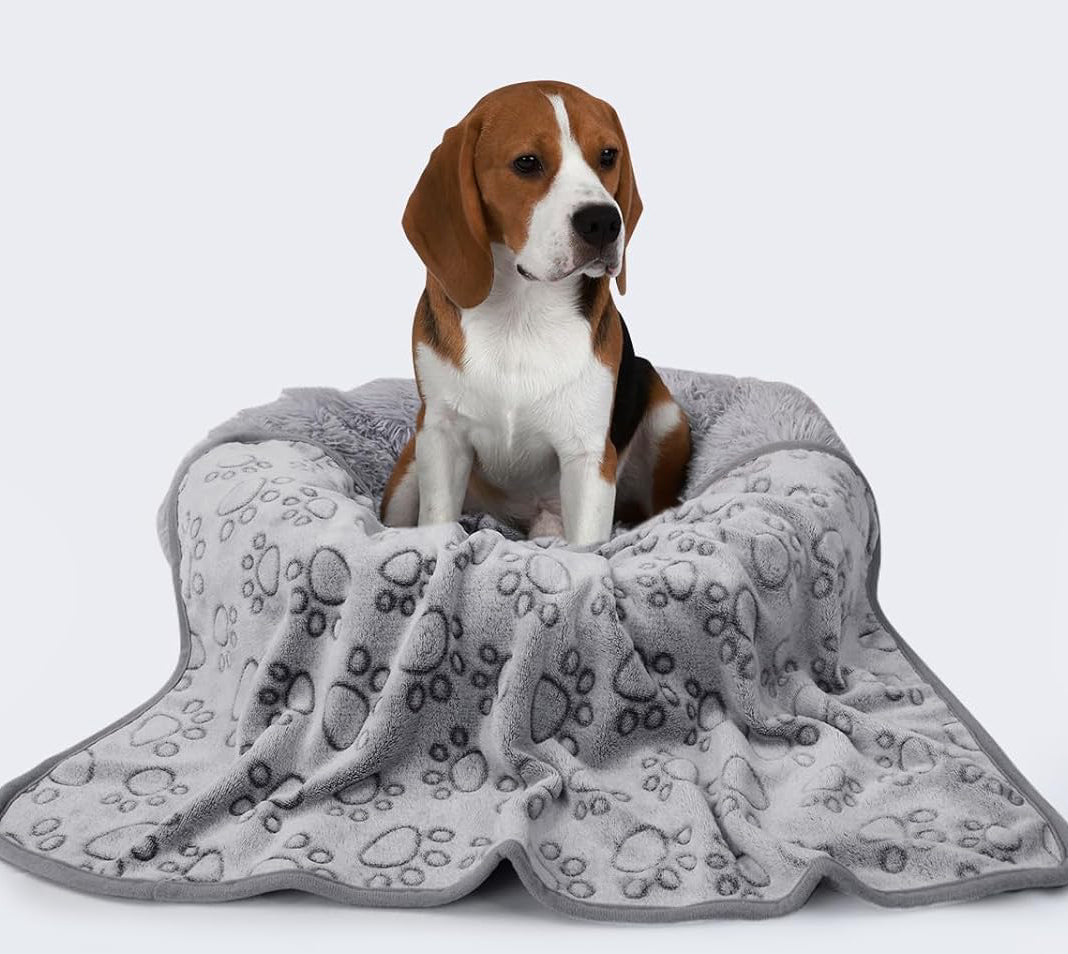 3-Pack Coral Velvet Blankets: Comfort, Protection, and Adorable Design