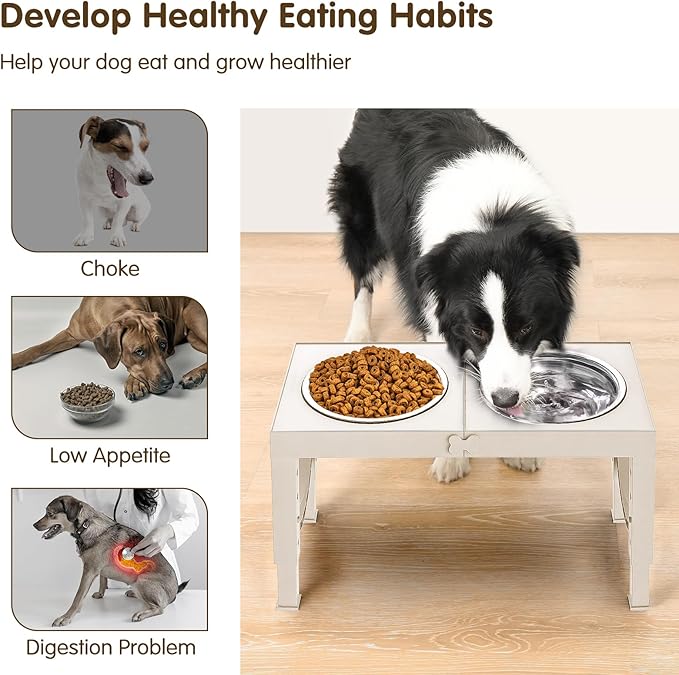 Comedero Elevado Ajustable XiaZ: ¡Mejora Postura y Digestión en tu Perro!
