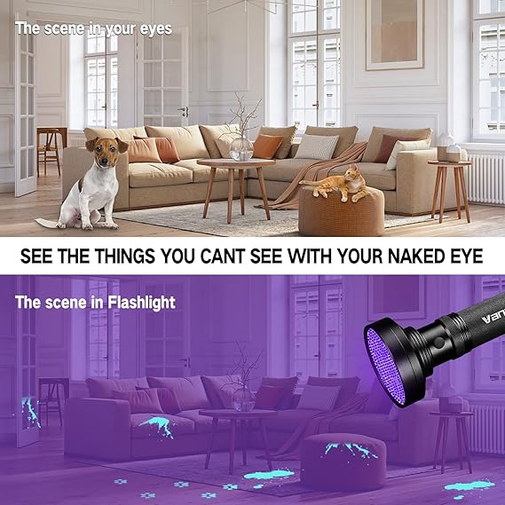 Vansky UV Flashlight: Your Ally for a Spotless Home and Odor-Free Living