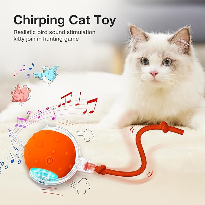 YoPoll Interactive Ball: Stimulate Your Cat’s Hunting Instinct