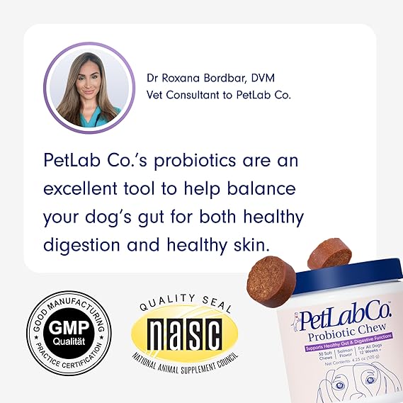 Chewable Probiotics: Allergies, Digestion, and Immune Health