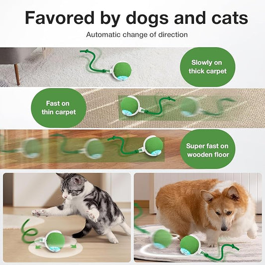 YoPoll Interactive Cat Ball: Unleash Their Inner Hunter with Autonomous Fun!