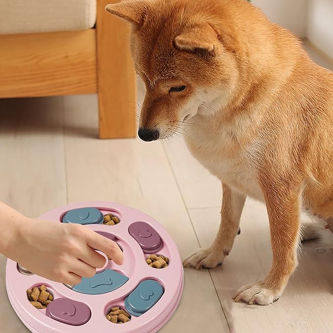 Interactive Toy & Slow Feeder: Stimulation and Healthy Digestion