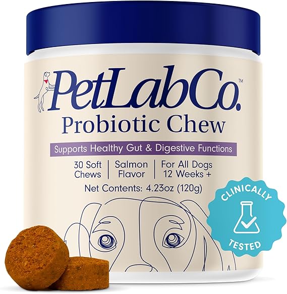 Chewable Probiotics: Allergies, Digestion, and Immune Health