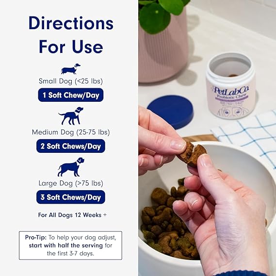Chewable Probiotics: Allergies, Digestion, and Immune Health