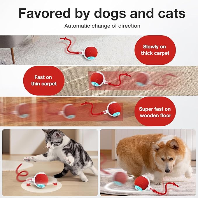 BLUEYPET Smart Rolling Ball: Automatic Exercise and Fun