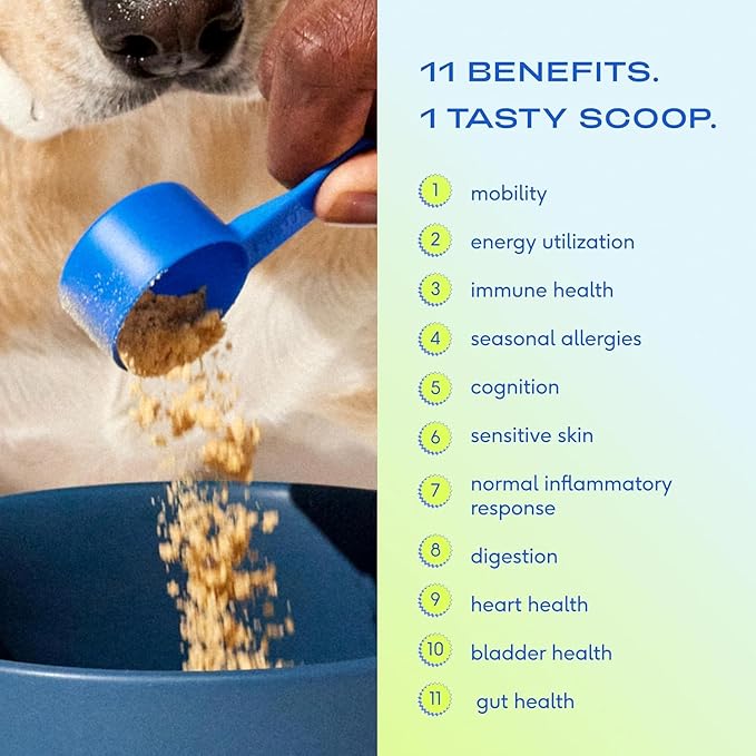 Powdered Multivitamin: Immune Boost and Overall Well-Being