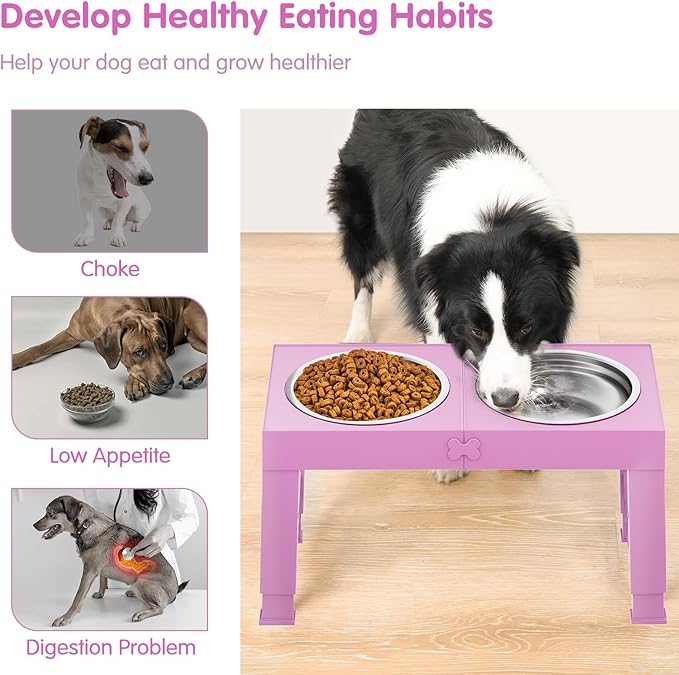 Comedero Elevado Ajustable XiaZ: ¡Mejora Postura y Digestión en tu Perro!