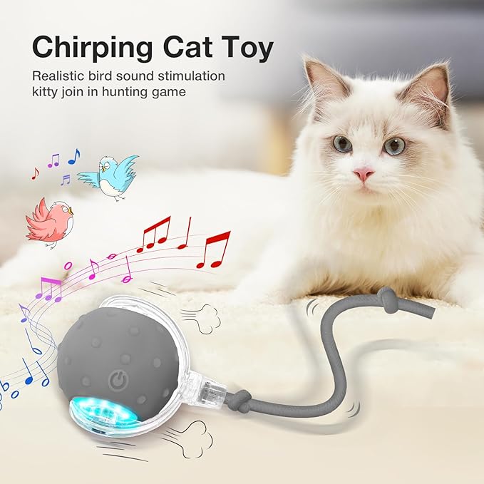 YoPoll Interactive Ball: Stimulate Your Cat’s Hunting Instinct