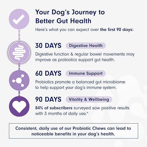 Chewable Probiotics: Allergies, Digestion, and Immune Health