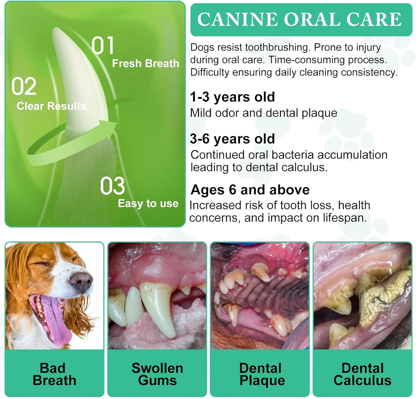Probiotic Dental Powder: Natural Oral Care for Pets