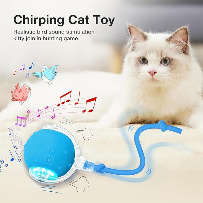 YoPoll Interactive Ball: Stimulate Your Cat’s Hunting Instinct