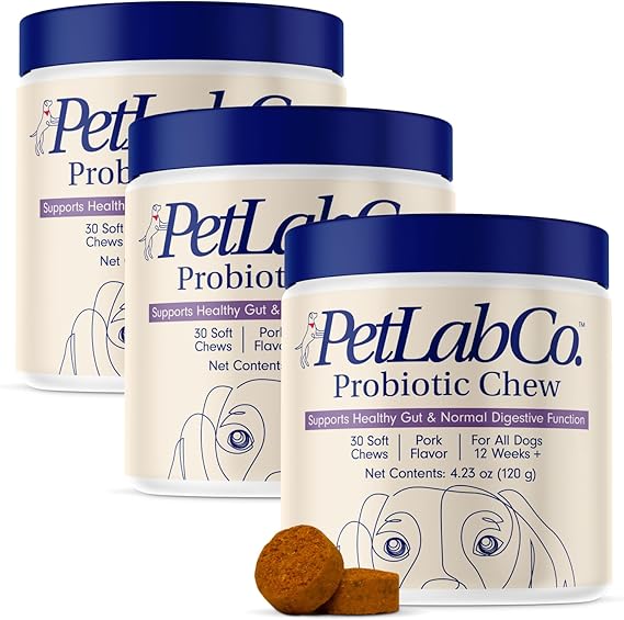 Chewable Probiotics: Allergies, Digestion, and Immune Health