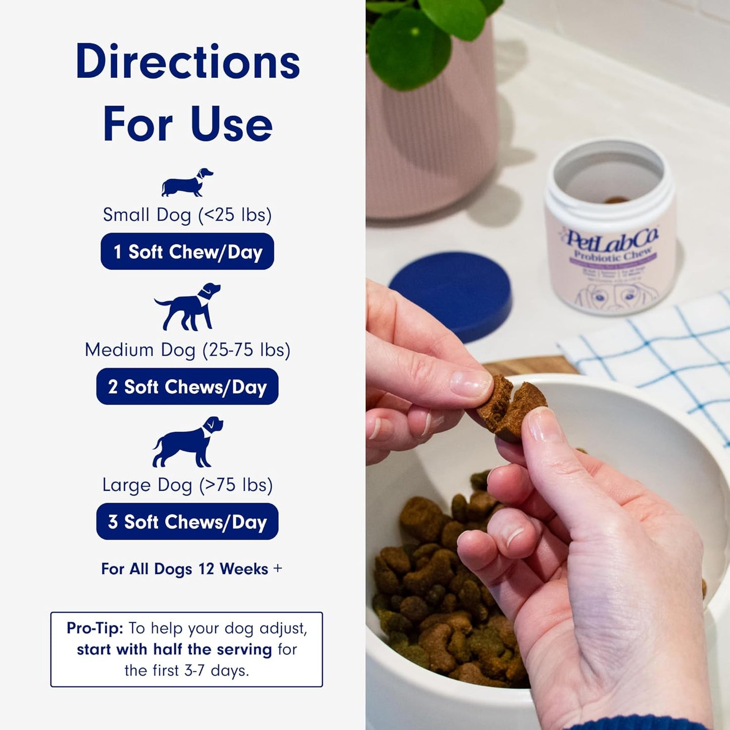 Chewable Probiotics: Allergies, Digestion, and Immune Health