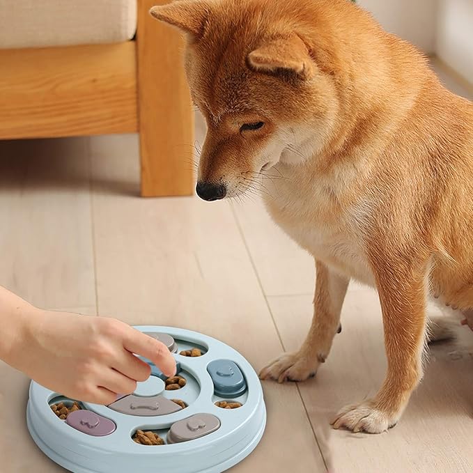 Interactive Toy & Slow Feeder: Stimulation and Healthy Digestion