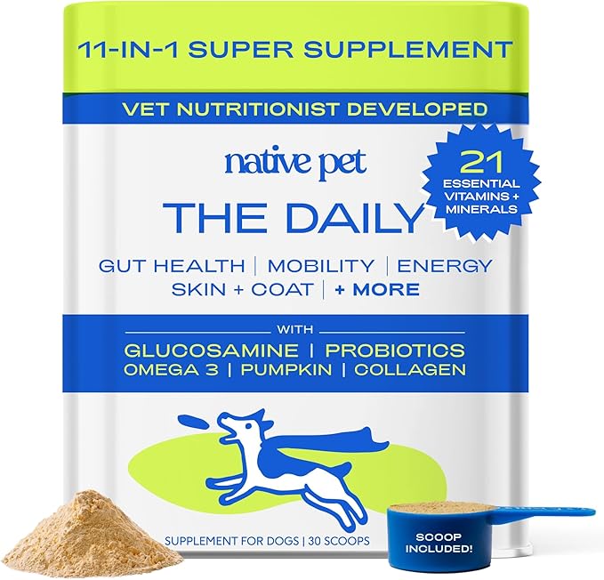 Powdered Multivitamin: Immune Boost and Overall Well-Being