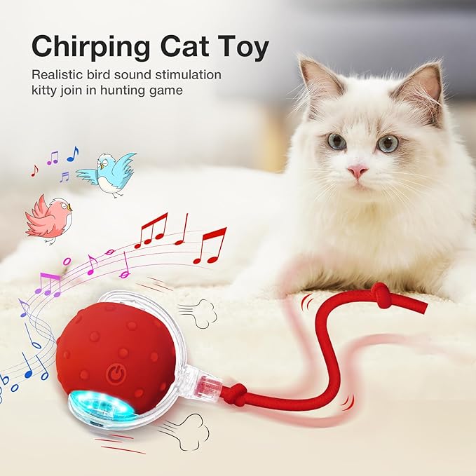 YoPoll Interactive Ball: Stimulate Your Cat’s Hunting Instinct