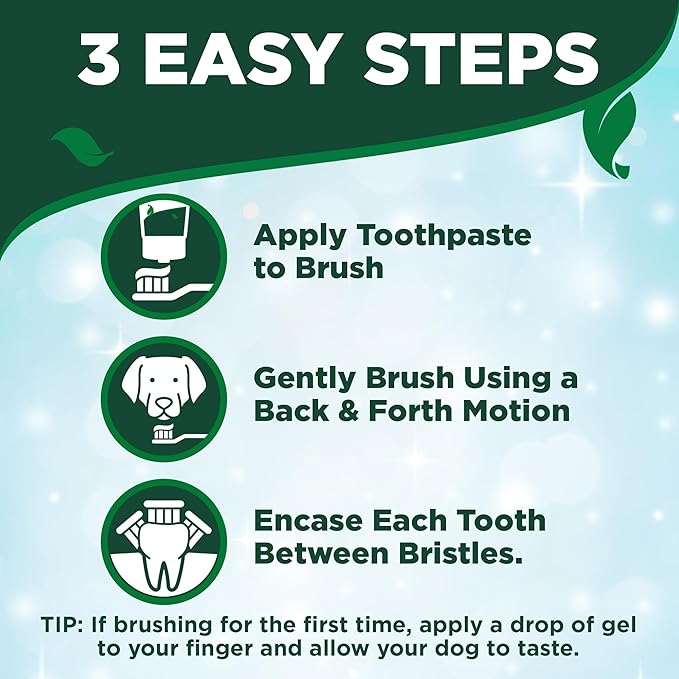 Complete Dental Kit for Dogs: Professional Oral Care at Home for a Radiant, Healthy Smile!