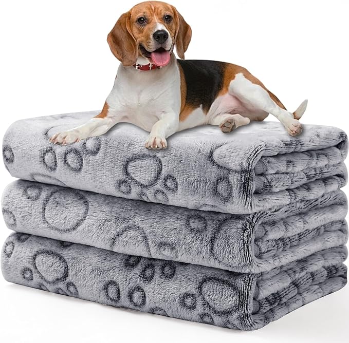 3-Pack Coral Velvet Blankets: Comfort, Protection, and Adorable Design