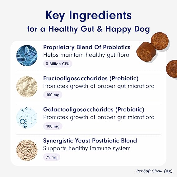 Chewable Probiotics: Allergies, Digestion, and Immune Health