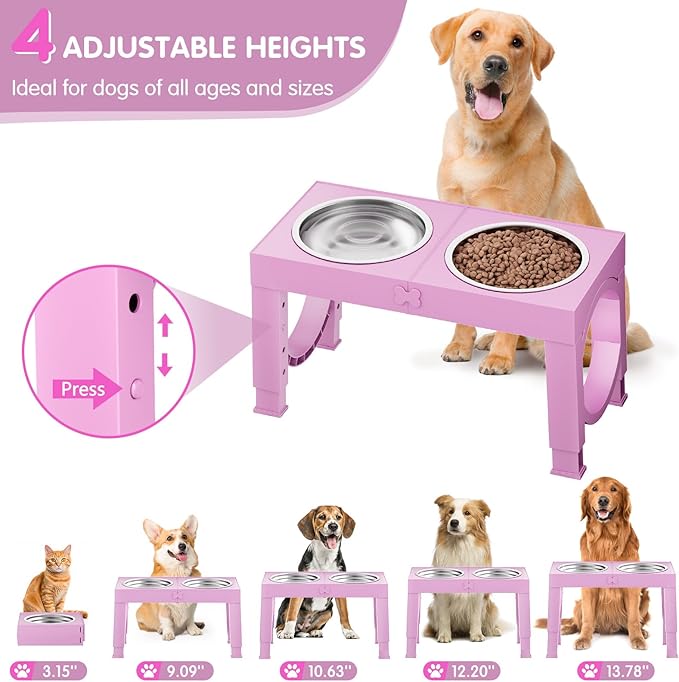 Comedero Elevado Ajustable XiaZ: ¡Mejora Postura y Digestión en tu Perro!