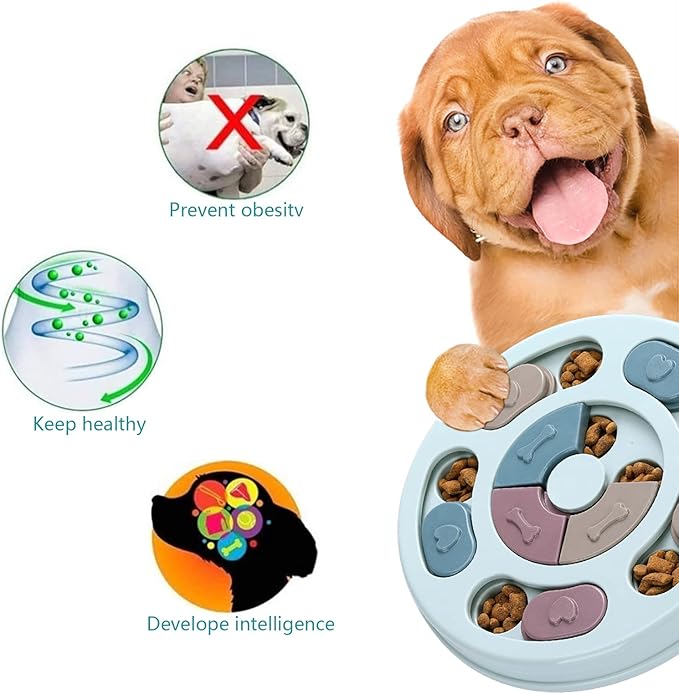 Interactive Toy & Slow Feeder: Stimulation and Healthy Digestion