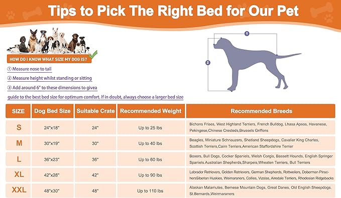 Premium Pink Velvet Bed: Support, Comfort, and Durability