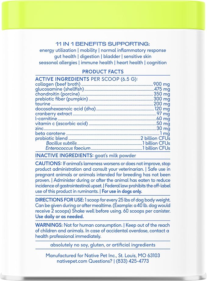 Multivitamínico en Polvo para Perros: ¡Impulsa su Inmunidad y Bienestar Total!