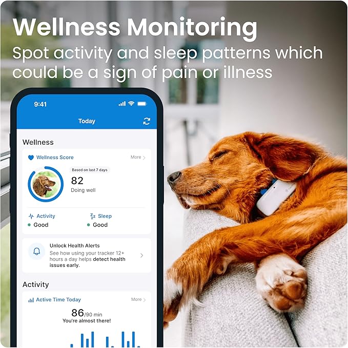 Tractive GPS Tracker: Live Tracking, Virtual Fences, and Activity Monitoring