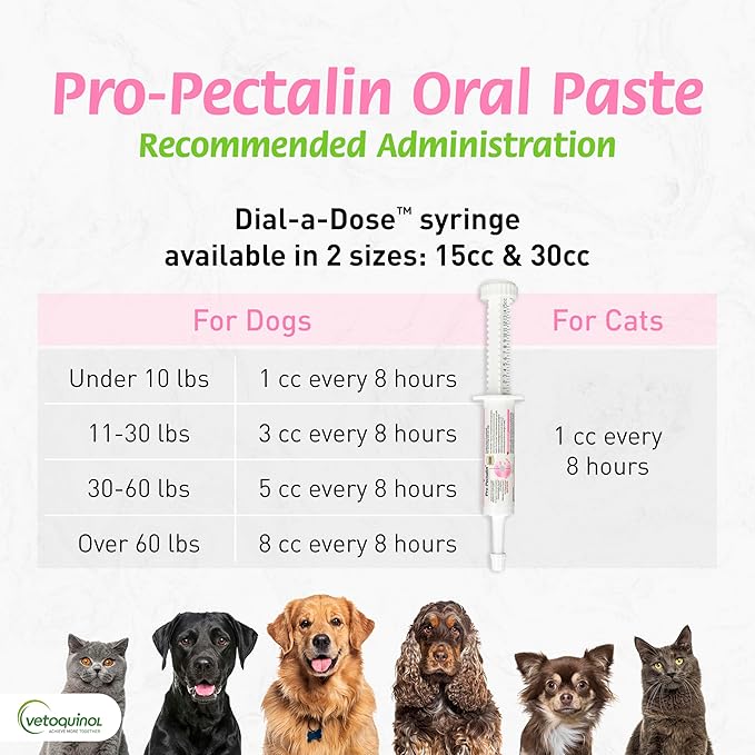 Pro-Pectalina: Probiotic Anti-Diarrheal for Dogs and Cats