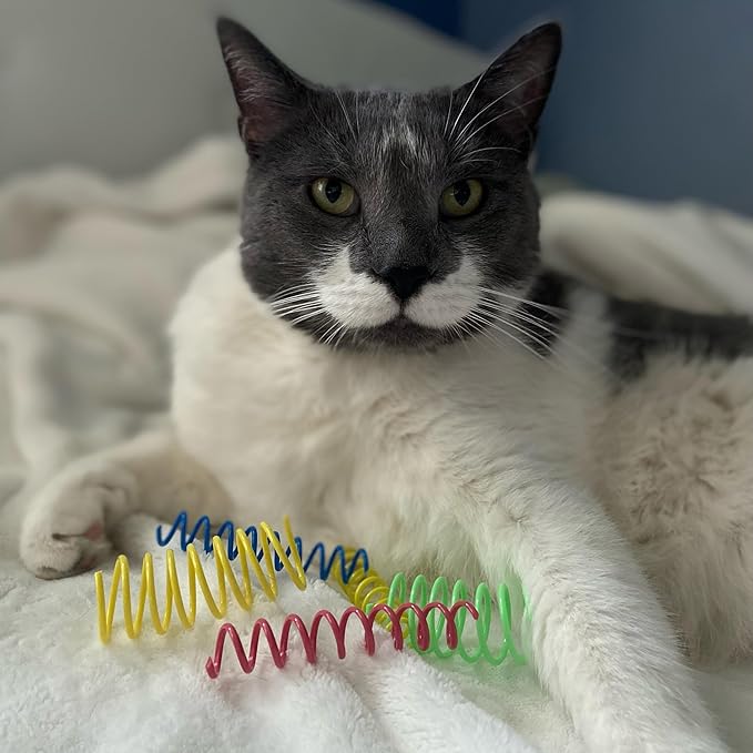 Cat Springs: Stimulate Hunting Instincts and Curiosity