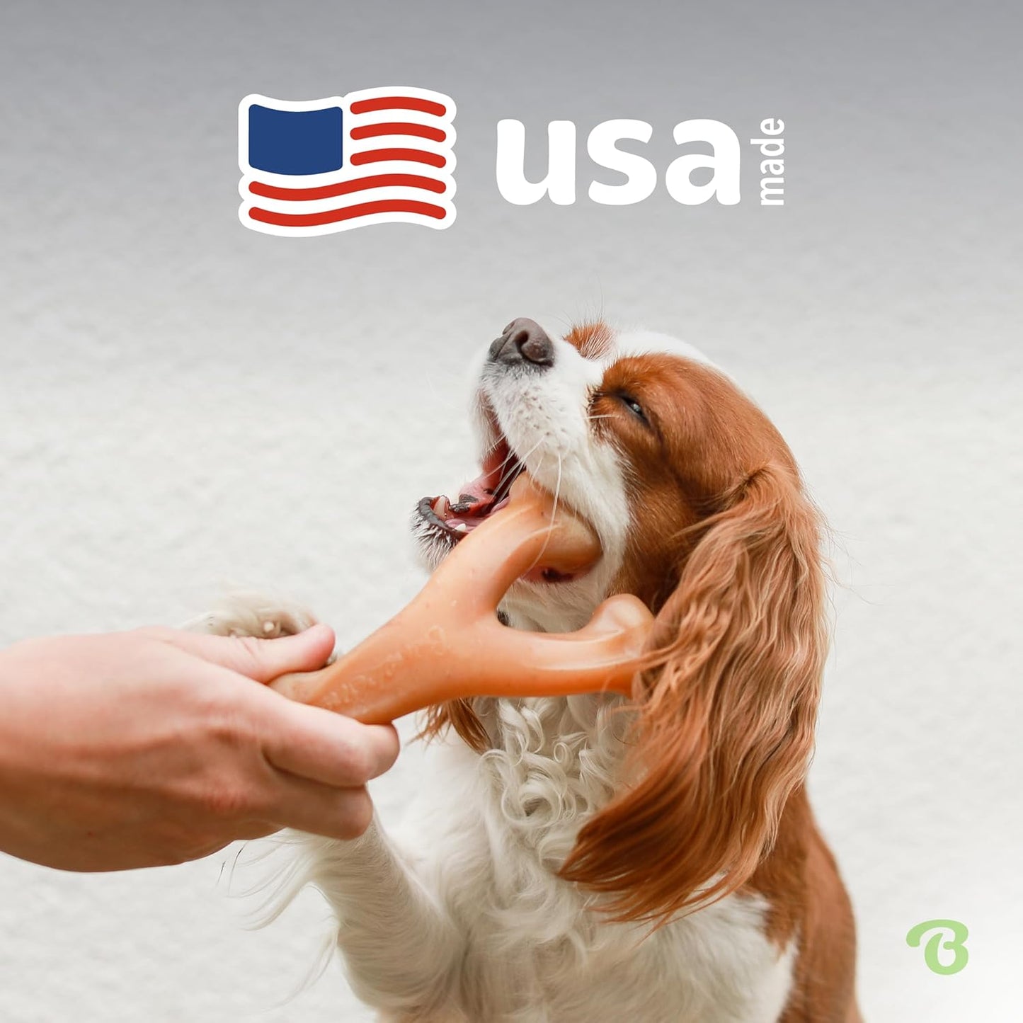 Benebone Wishbone: Indestructible Bone with Real Bacon Flavor