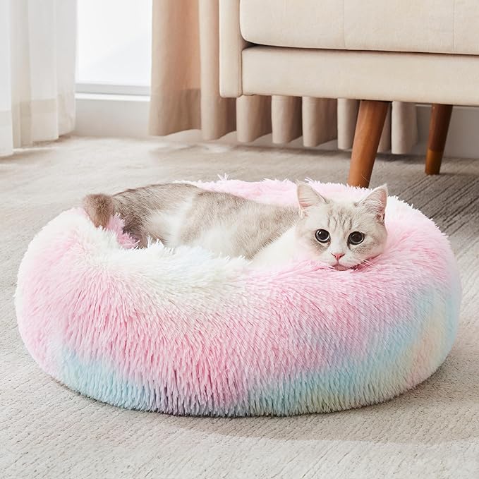 Perfect Bed: Orthopedic or Anti-Anxiety Donut – Maximum Comfort and Well-Being for Your Dog!