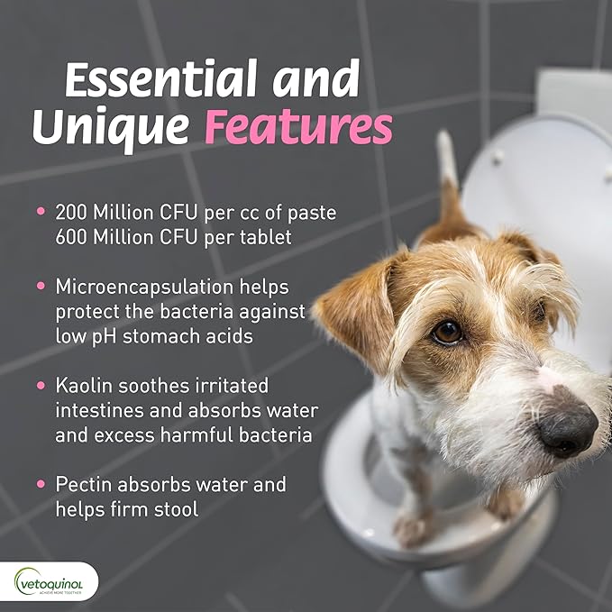 Pro-Pectalina: Probiotic Anti-Diarrheal for Dogs and Cats