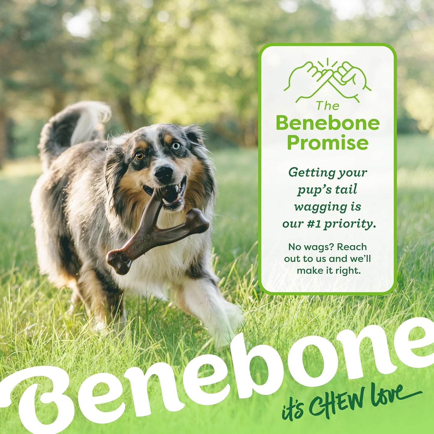 Benebone Wishbone: Indestructible Bone with Real Bacon Flavor