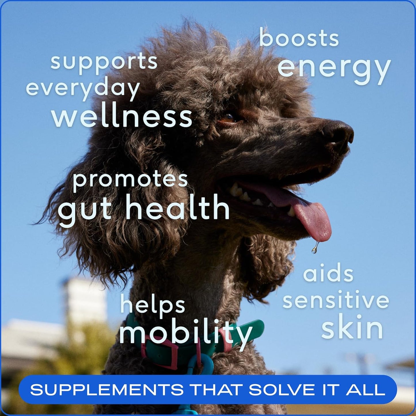 Powdered Multivitamin: Immune Boost and Overall Well-Being